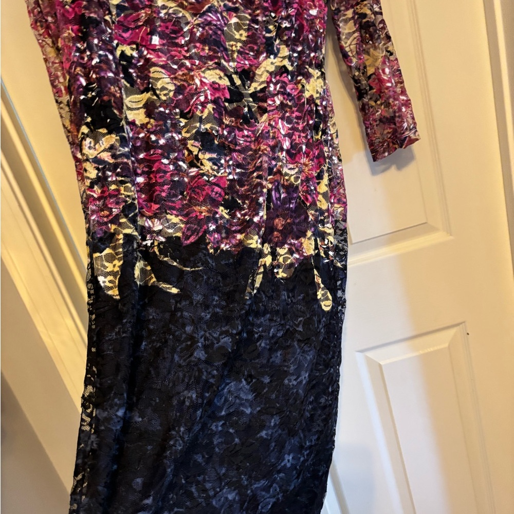 Chetta B Whimsical Goth floral and Lace Sheath sheer with slip Overlay Size 12 - Picture 3 of 6